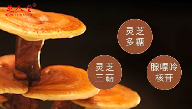 泰山产地不同品牌灵芝孢子粉的灵芝三萜含量会相同吗？——基于中草药种植的解析